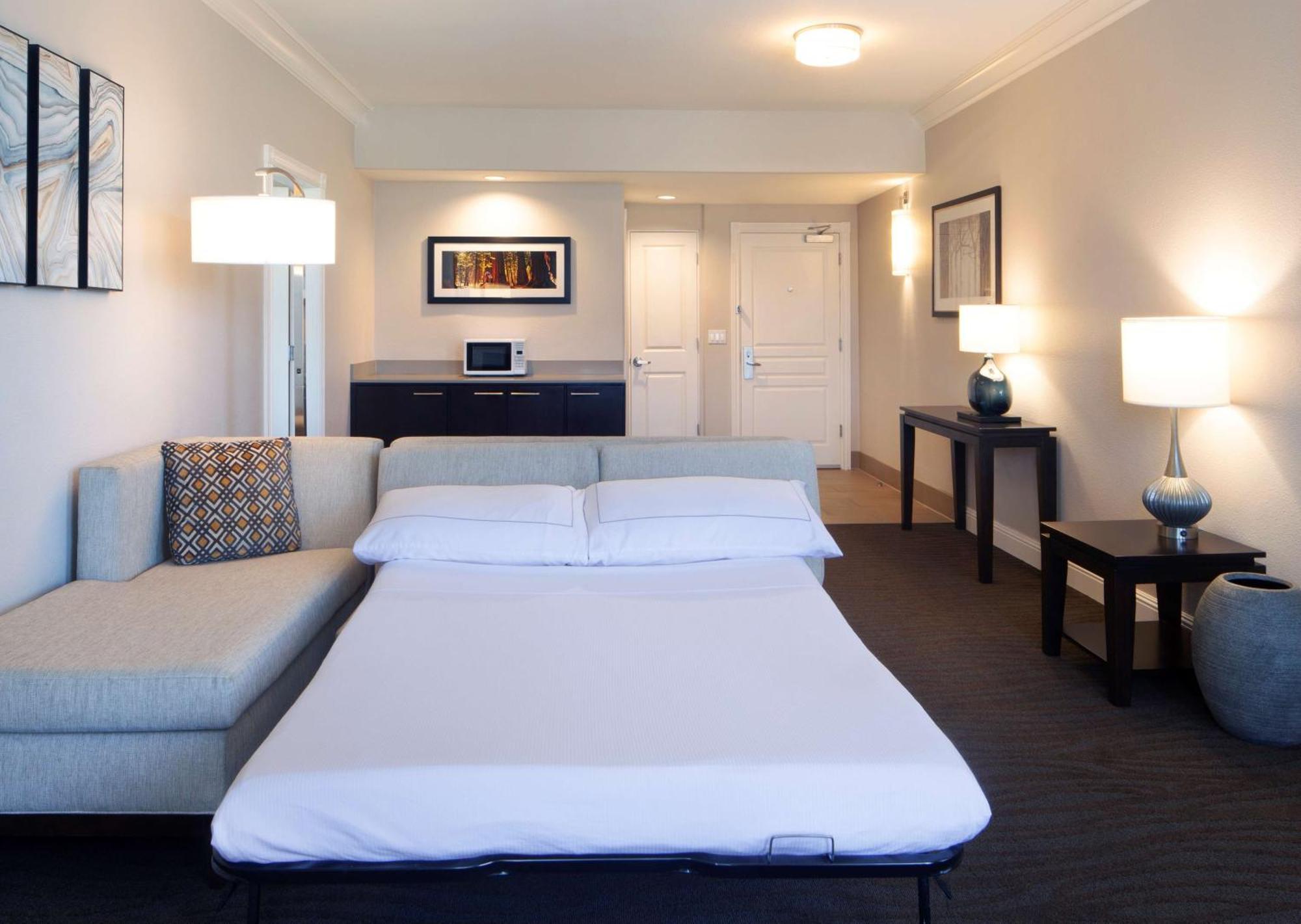 1 King Suite with Sofa Bed and Fireplace,1551996892:JPEG